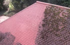 NetObjects Fusion 2015