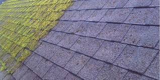 NetObjects Fusion 2015